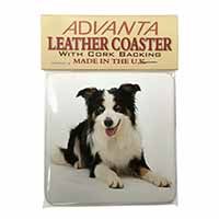 Tri-Colour Border Collie Dog Single Leather Photo Coaster