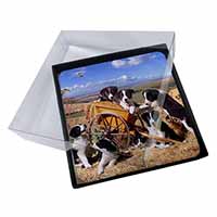 4x Border Collie in Wheelbarrow Picture Table Coasters Set in Gift Box