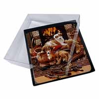 4x Border Collie Picture Table Coasters Set in Gift Box