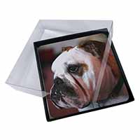 4x Bulldog Dog Picture Table Coasters Set in Gift Box