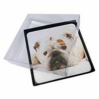 4x White Bulldog Picture Table Coasters Set in Gift Box