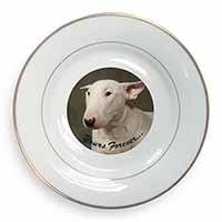 Bull Terrier Dog "Yours Forever" Gold Rim Plate Printed Full Colour in Gift Box