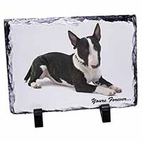 Brindle and White Bull Terrier "Yours Forever...", Stunning Photo Slate