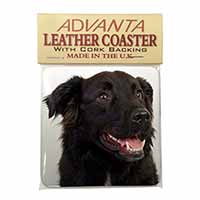Black Border Collie Dog Single Leather Photo Coaster