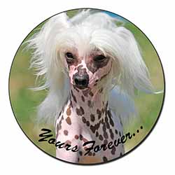 Chinese Crested Dog "Yours Forever..." Fridge Magnet Printed Full Colour