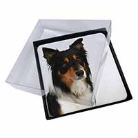 4x Tri-Colour Border Collie Dog Picture Table Coasters Set in Gift Box