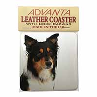 Tri-Colour Border Collie Dog Single Leather Photo Coaster
