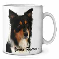 Tri-colour Border Collie Dog "Yours Forever..." Ceramic 10oz Coffee Mug/Tea Cup