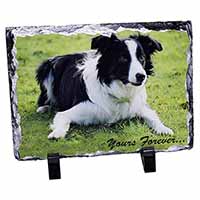 Border Collie Dog "Yours Forever...", Stunning Photo Slate
