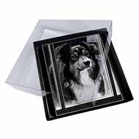 4x Border Collie in Window Picture Table Coasters Set in Gift Box
