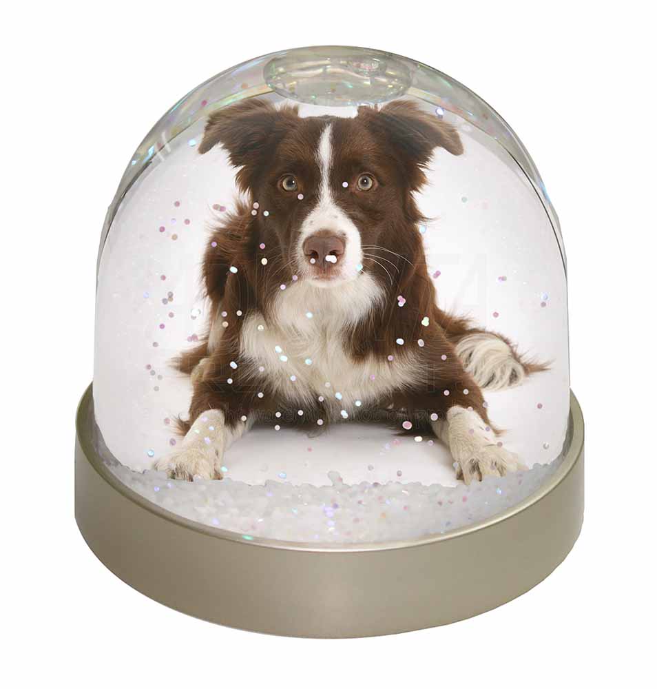 Liver and White Border Collie Photo Snow Globe Waterball Stocking Fil AD-CO81GL 