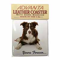 Liver and White Border Collie "Yours Forever..." Single Leather Photo Coaster