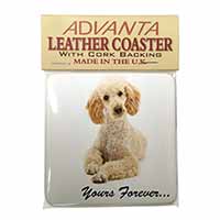 Apricot Poodle "Yours Forever..." Single Leather Photo Coaster