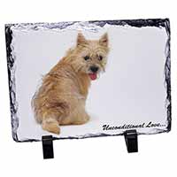 Cairn Terrier Dog With Love, Stunning Photo Slate