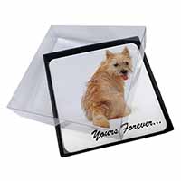 4x Cairn Terrier Dog "Yours Forever..." Picture Table Coasters Set in Gift Box