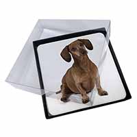 4x Cute Dachshund Dog Picture Table Coasters Set in Gift Box