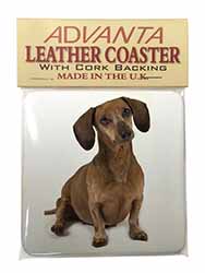 Cute Dachshund Dog Single Leather Photo Coaster