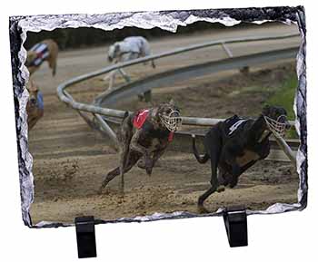 Greyhound Dog Racing, Stunning Photo Slate