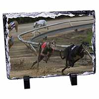 Greyhound Dog Racing, Stunning Photo Slate