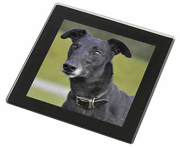 Black Greyhound Dog Black Rim High Quality Glass Coaster