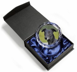 Black Greyhound Dog Stunning Paperweight Gift New
