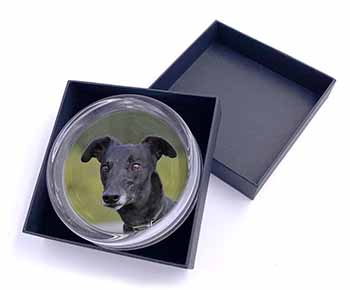 Black Greyhound Dog Glass Paperweight in Gift Box