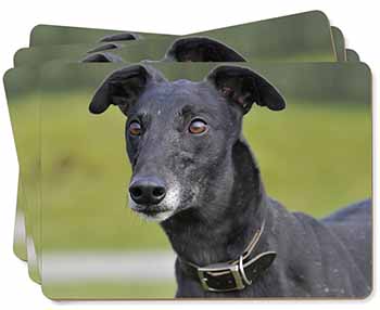 Black Greyhound Dog Picture Placemats in Gift Box