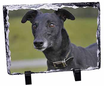 Black Greyhound Dog, Stunning Photo Slate
