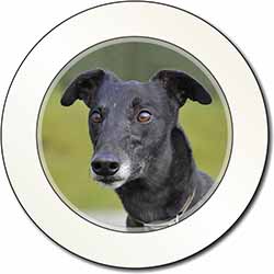 Black Greyhound Dog Car or Van Permit Holder/Tax Disc Holder