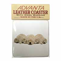 Golden Retriever Puppies Single Leather Photo Coaster