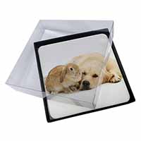 4x Golden Retriever and Rabbit Picture Table Coasters Set in Gift Box