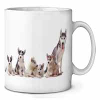 Siberian Huskies Ceramic 10oz Coffee Mug/Tea Cup