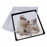 4x Siberian Husky Picture Table Coasters Set in Gift Box