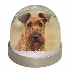 Irish Terrier Dog Photo Snow Globe Waterball