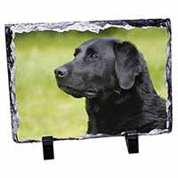 Black Labrador Dog, Stunning Photo Slate