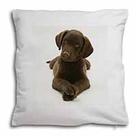 Chocolate Labrador Puppy Dog Soft White Velvet Feel Scatter Cushion
