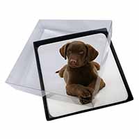 4x Chocolate Labrador Puppy Dog Picture Table Coasters Set in Gift Box
