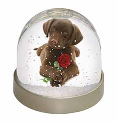 Chocolate Labrador Pup with Rose Snow Globe Photo Waterball