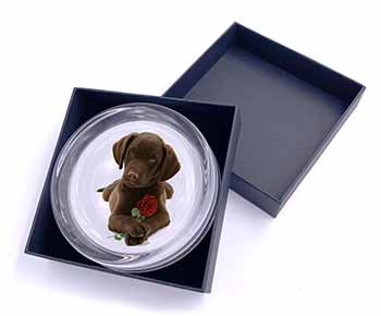 Chocolate Labrador Pup with Rose Glass Paperweight in Gift Box