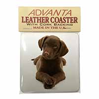 Chocolate Labrador Puppy Dog Single Leather Photo Coaster