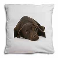 Chocolate Labrador Dog Soft White Velvet Feel Scatter Cushion