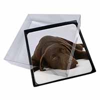 4x Chocolate Labrador Dog Picture Table Coasters Set in Gift Box
