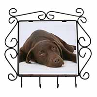 Chocolate Labrador Dog Wrought Iron Key Holder Hooks
