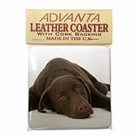 Chocolate Labrador Dog Single Leather Photo Coaster