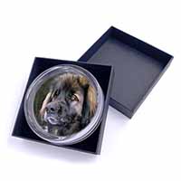 Black Leonberger Dog Glass Paperweight in Gift Box