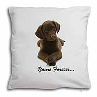 Chocolate Labrador Dog Love Soft White Velvet Feel Scatter Cushion