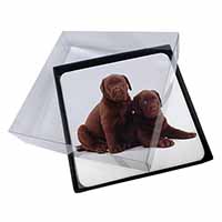 4x Chocolate Labrador Puppy Dogs Picture Table Coasters Set in Gift Box