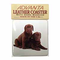 Chocolate Labrador Puppy Dogs Single Leather Photo Coaster