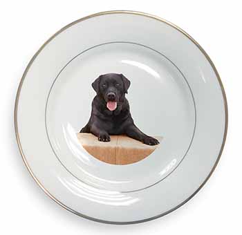 Black Labrador Dog Gold Rim Plate Printed Full Colour in Gift Box