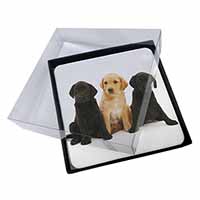 4x Labrador Puppies Picture Table Coasters Set in Gift Box